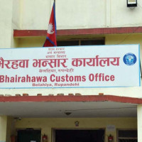 इलामको समालबुङका कृषकद्वारा सडकमै रोपाइँ