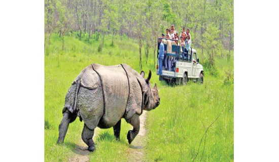 अलपत्र शिक्षा पदक