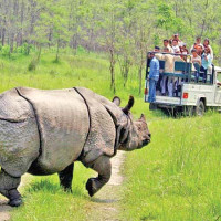 नेपालमा ऊर्जा क्षेत्रमा नयाँ क्रान्तिको सुरुआत : उर्जामन्त्री बस्नेत