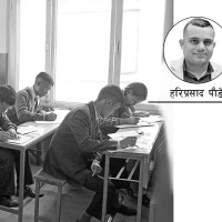 वर्णशङ्कर बिउ खोज्दा रैथाने लोप