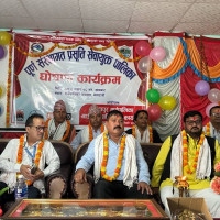 डोल्पा जोड्ने पक्की पुल
