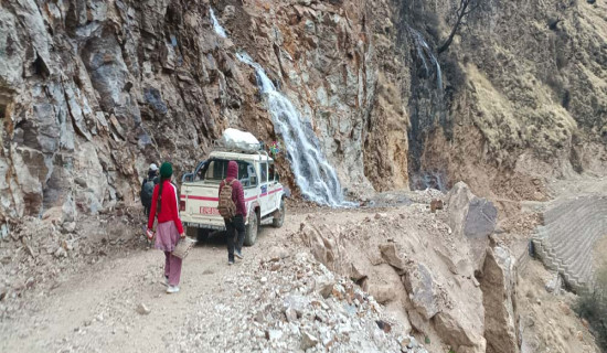 मधेश प्रदेश सभा : विषयगत समिति गठन