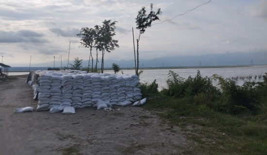 तटबन्धमा राखियो माटोले भरिएका बोरा