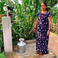 मरुभूमिको जोखिम बढाएको भन्दै मसलाको रुख काटेर हटाइँदै