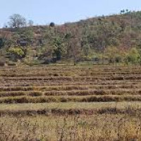 चैत २१ भित्र किसानलाई भुक्तानी दिने सहमति