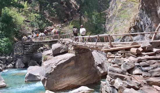 ढुवानीको प्रमुख साधन खच्चड