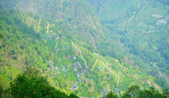 कास्की ३ बाट एमालेका दामोदर पौडेल वैरागी निर्वाचित