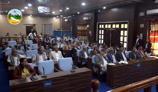 बजेटमाथि सत्तापक्षकै आलोचना