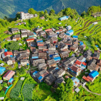 गोली लागेर ८३ वर्षीय आचार्यको मृत्यु