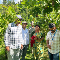 राष्ट्रिय अर्थतन्त्रमा कर्णालीको योगदान न्यून
