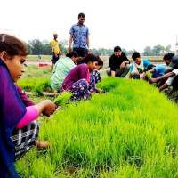 ट्राफिक सप्ताह अन्तर्गत चालक र सहचालकको निःशुल्क स्वास्थ्य परीक्षण
