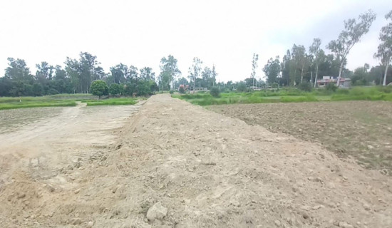 सरकारी जग्गा मिचेर सडक निर्माण