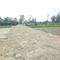 सर्पले डसेर एककाे मृत्यु