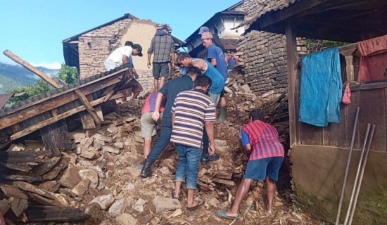 पहिरोले धन्सार भत्किँदा पाँच बाख्रा मरे