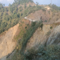 कोशी प्रदेशमा डेङ्गुबाट मृत्यु हुनेको सङ्ख्या १४ पुग्यो