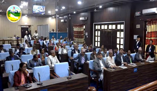 भिनाजुले गरे सालोको हत्या