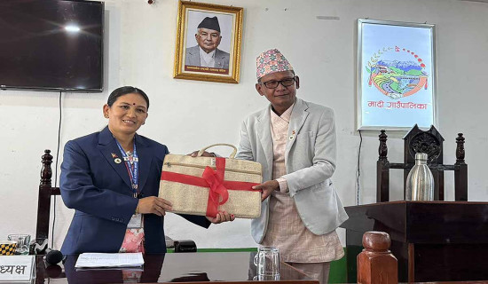 बेनी नगरकार्यपालिकामा गठबन्धनका उम्मेदवार विजयी