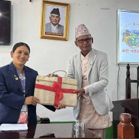 सर्लाहीको चार स्थानीय तहले अझै ल्याएनन् बजेट