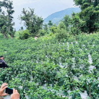 नेपाल र भारतका धार्मिक अभियन्ता कालीगण्डकीमा