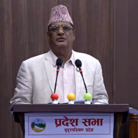 भिनाजुले गरे सालोको हत्या