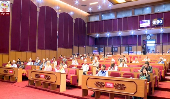 भन्सार विधेयक राष्ट्रिय सभाबाट सर्वसम्मतिले पारित