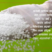 पाँच जिल्लाका २७ जनामा हैजा पुष्टि