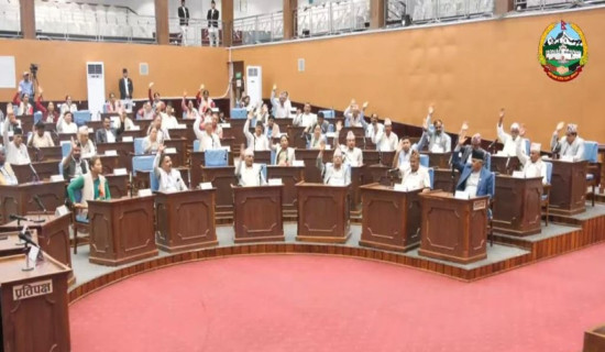 प्युठानमा दुई जनामा हैजा पुष्टि