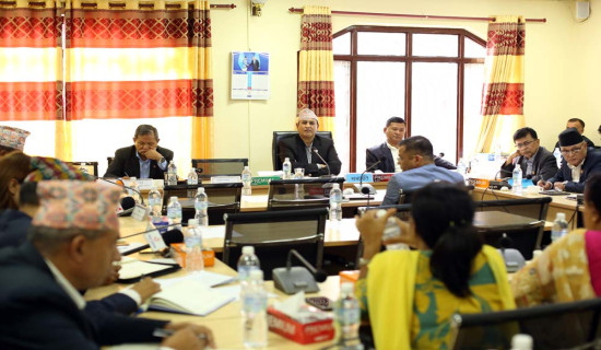 निजामती विधेयकको त्रुटि जिम्मेवारी लिनबाट पन्छिए सबै