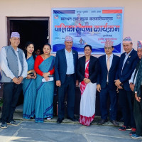 सौर्य एयरलाइन्सको जहाज दुर्घटना