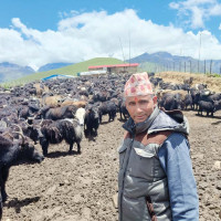 राहुघाट–तातोपानी सडकखण्डमा रातको समयमा यातायात आवागमन बन्द