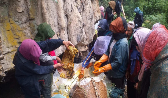 ताराखोलाका सामुदायिक वनमा भिरमहको शिकार