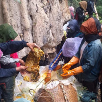 छ नाल भरुवा बन्दुक बरामद