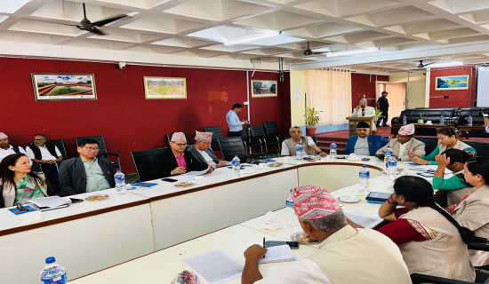कर्मचारीको तलब मर्यादाक्रम अनुसार लागू गर्न सर्वोच्चको परमादेश (पूर्णपाठसहित)