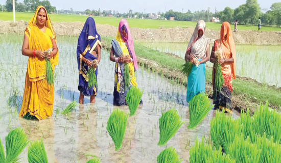 समावेशीकरणको दिशामा नयाँ फड्को : गोरखापत्रद्वारा प्रकाशित मगही भाषा