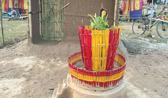 समावेशीकरणको दिशामा नयाँ फड्को : गोरखापत्रद्वारा प्रकाशित मेचे भाषा