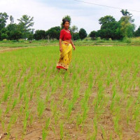 गाउँमै बस्न रमाउछन् भुर्तुङका वृद्ध र युवा