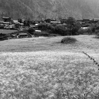 अख्तियारमा तनहुँबाट धेरै उजुरी