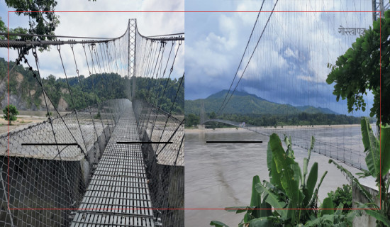 असिनापानीले बालीमा क्षति