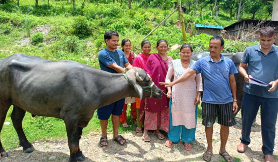 भूमिहीनको समस्याप्रति स्थानीय सरकार मौन