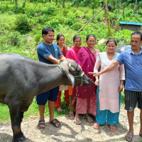 वैकल्पिक बासस्थान मिलाउन मिटरब्याज पीडितको माग