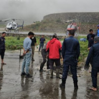 धानमा फड्के किराको प्रकोपले किसान चिन्तामा