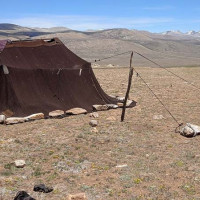 बजार प्रतिस्पर्धा प्रवर्धन : विषयगत प्रश्नोत्तर