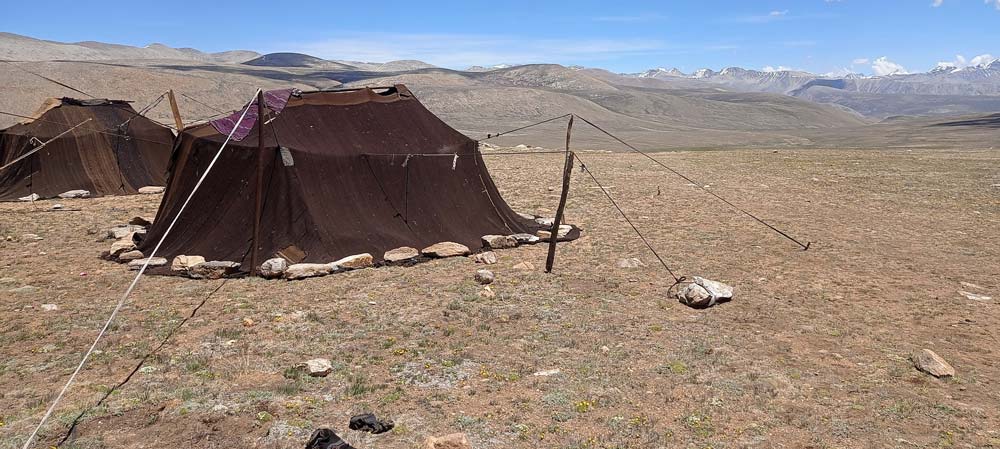 पैँतालीस वर्षदेखि फेरुवाको पालमा