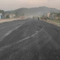 धानमा फड्के किराको प्रकोपले किसान चिन्तामा