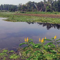 रारामा सुविधासम्पन्न होटेल अभाव