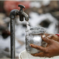 लम्पीस्किनबाट गाईगोरुको मृत्यु ‍: पाँच करोडको क्षति