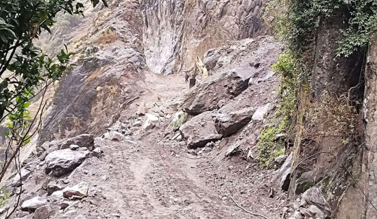 बोक्चे र भिगोडा सडकको स्तरोन्नति अन्तिम चरणमा