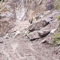 सम्पत्ति छानबिन गर्न आयोग गठनको माग
