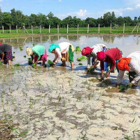 ‘बिपीको समाजवाद र स्थानीय सरकार’ लोकार्पण