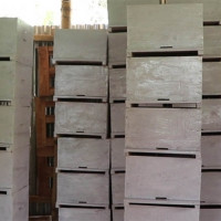 ‘बिपीको समाजवाद र स्थानीय सरकार’ लोकार्पण